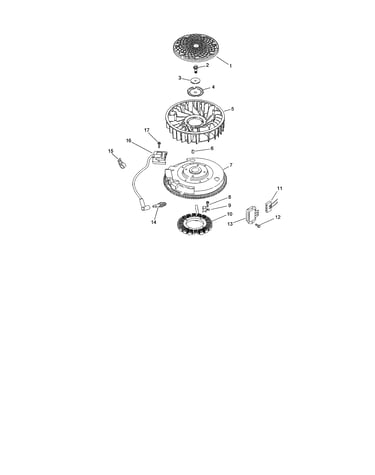 Ignition / electrical assembly