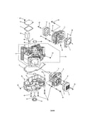 Cylinder / crankcase