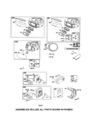 Air cleaner/blower housing