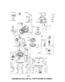 Cylinder/starter/crankshaft
