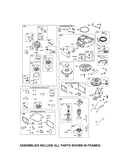 Carburetor/starter/flywheel