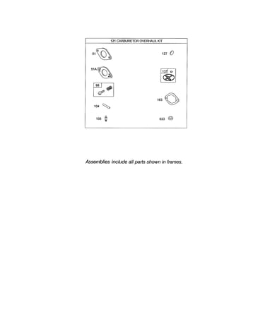 Carburetor overhaul kit