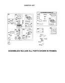 Carburetor/fuel supply