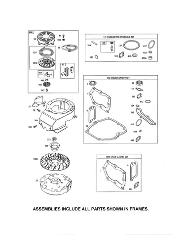Rewind starter/blower housing