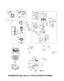 Carburetor/starter motor