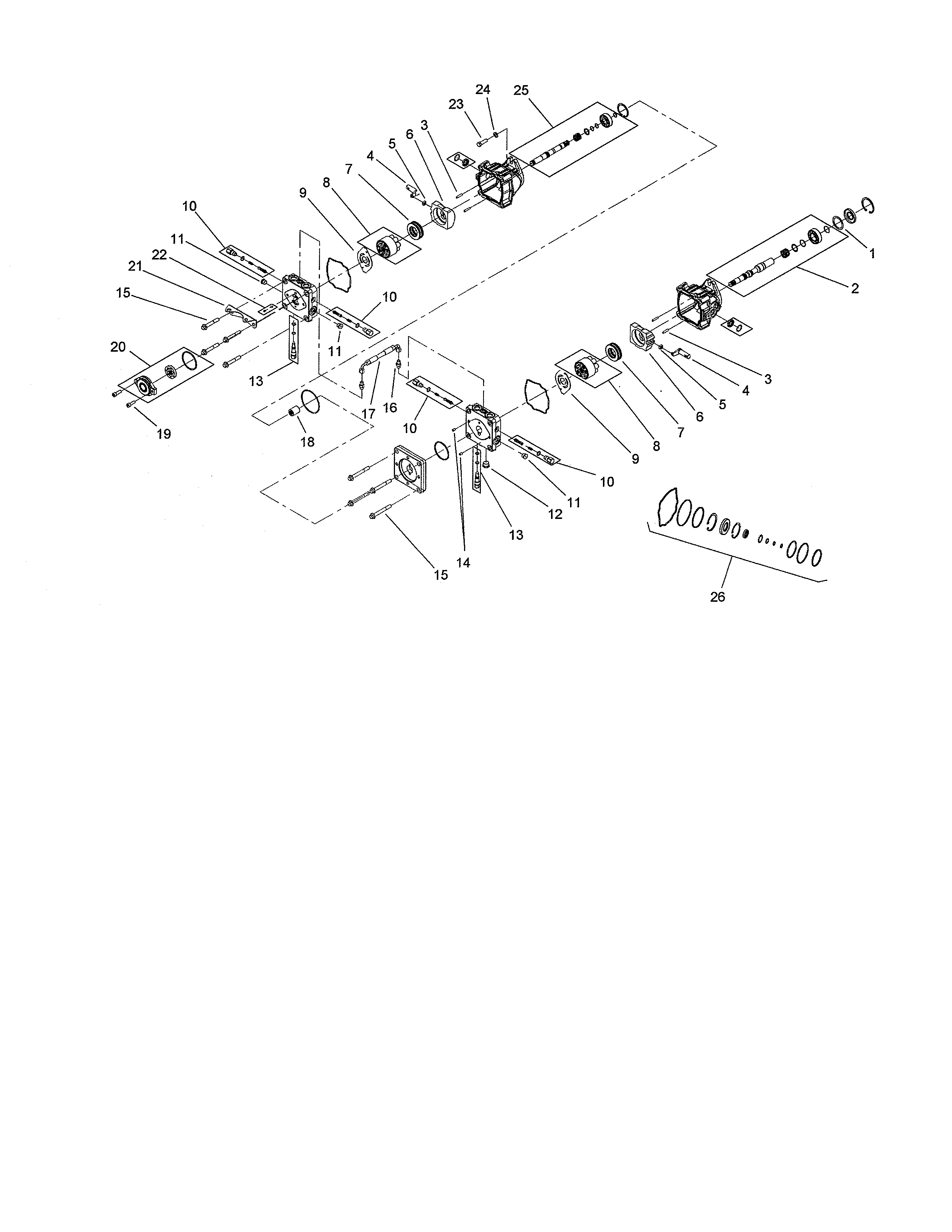 Tandem pump assembly