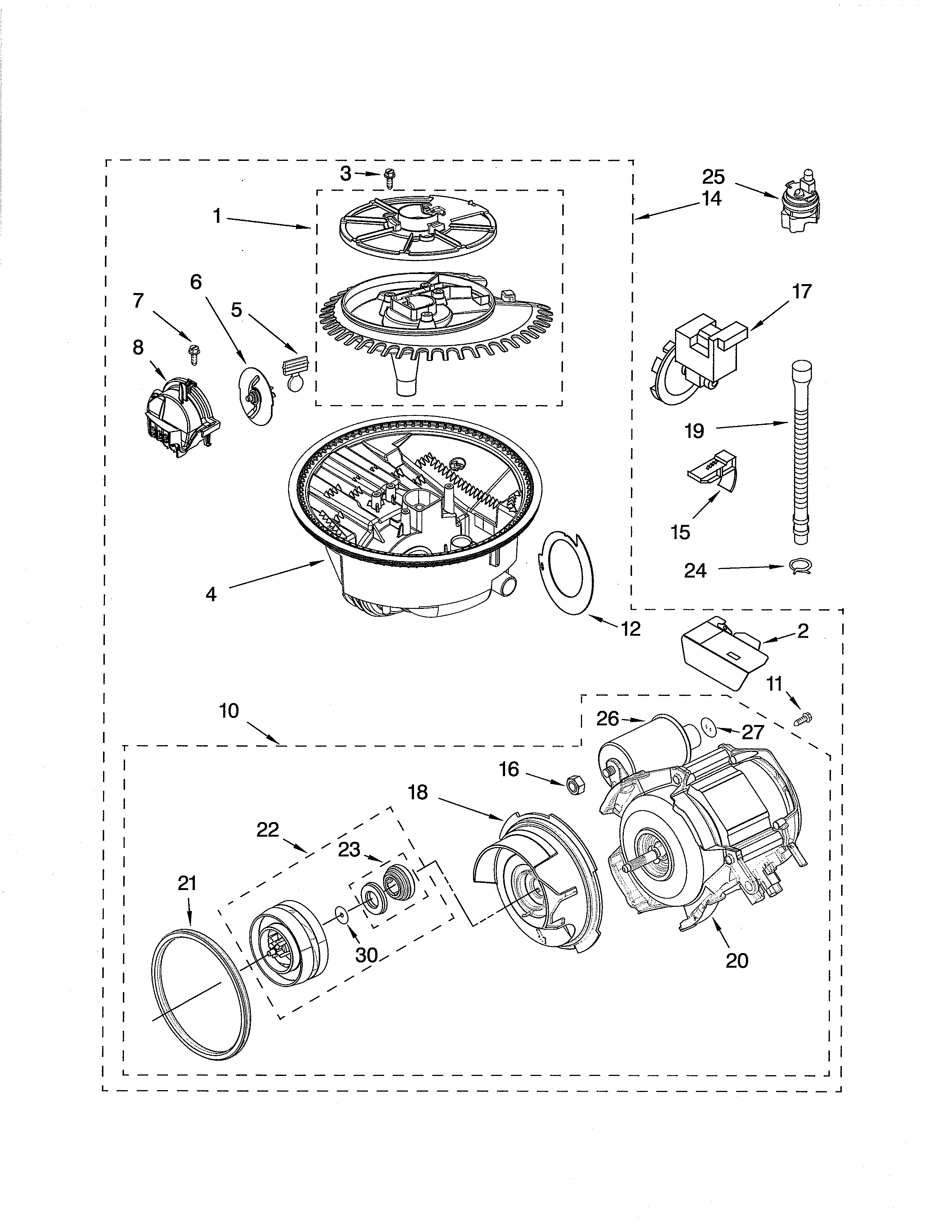 Pump & motor