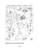Cylinder/carburetor/starter motor