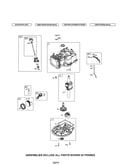 Cylinder/crankshaft/sump
