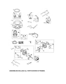 Head-cylinder/blower housing