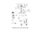 Briggs & Stratton 445877-1592-B1 carburetor/motor starter diagram