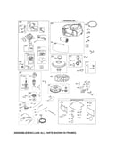 Carburetor/blower housing/motor-starter