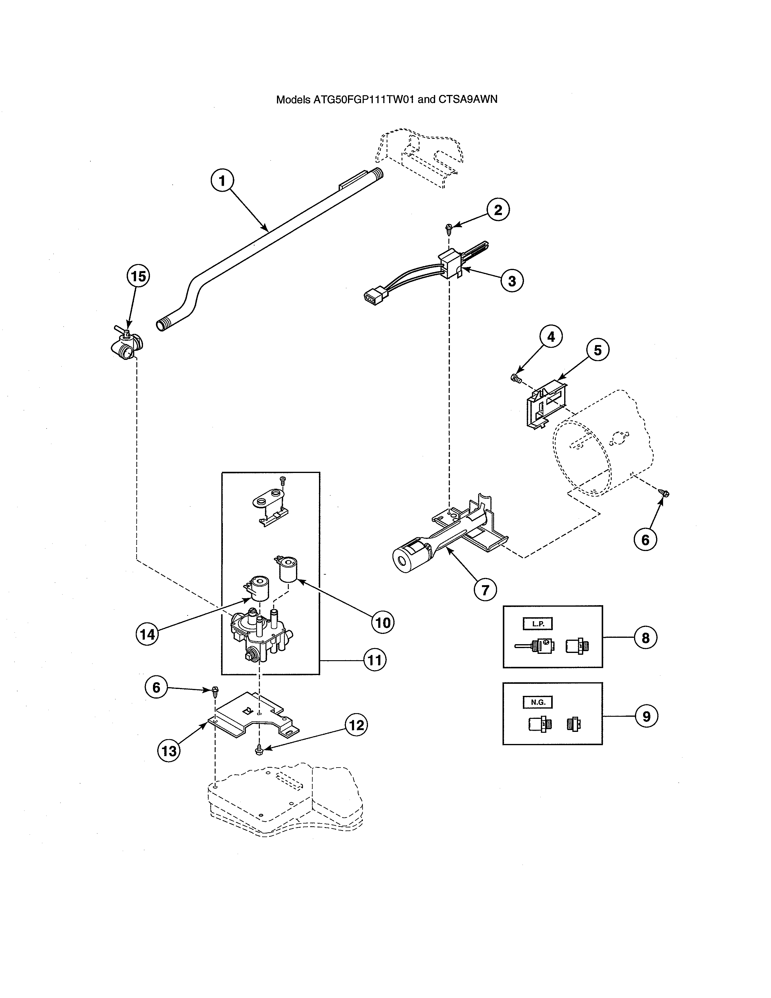 Gas valve/igniter/gas conversion kits