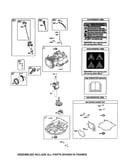 Cylinder/crankshaft/crankcase