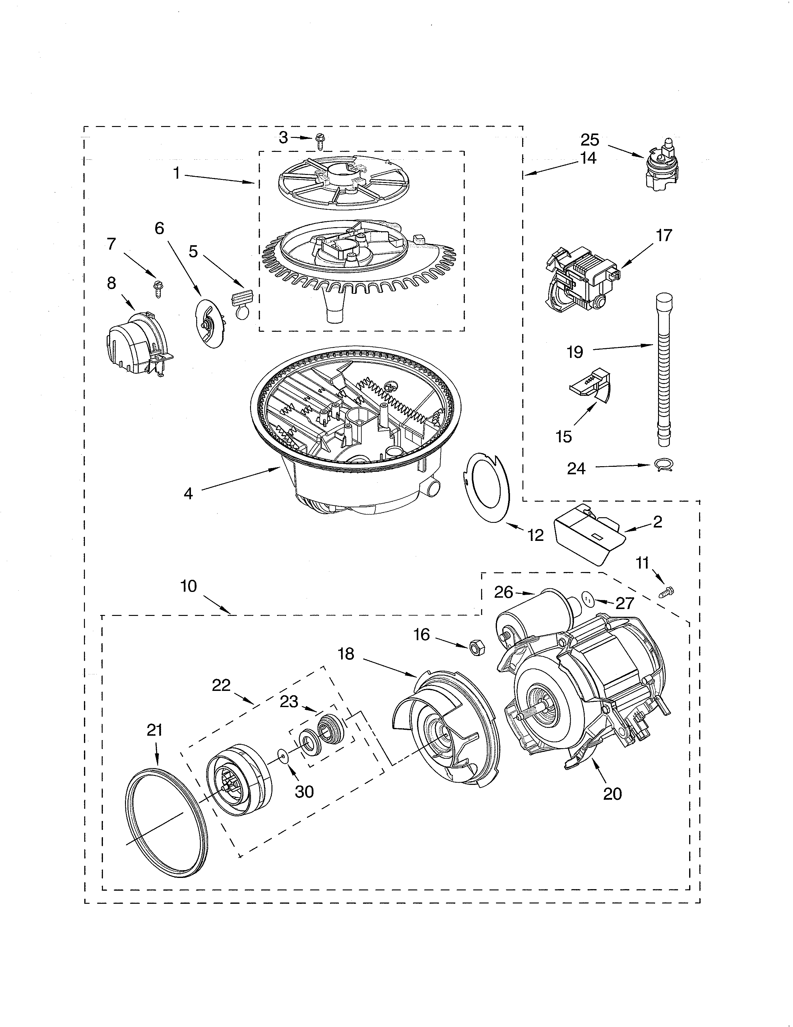 Pump & motor