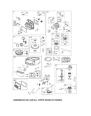 Carburetor/starter motor