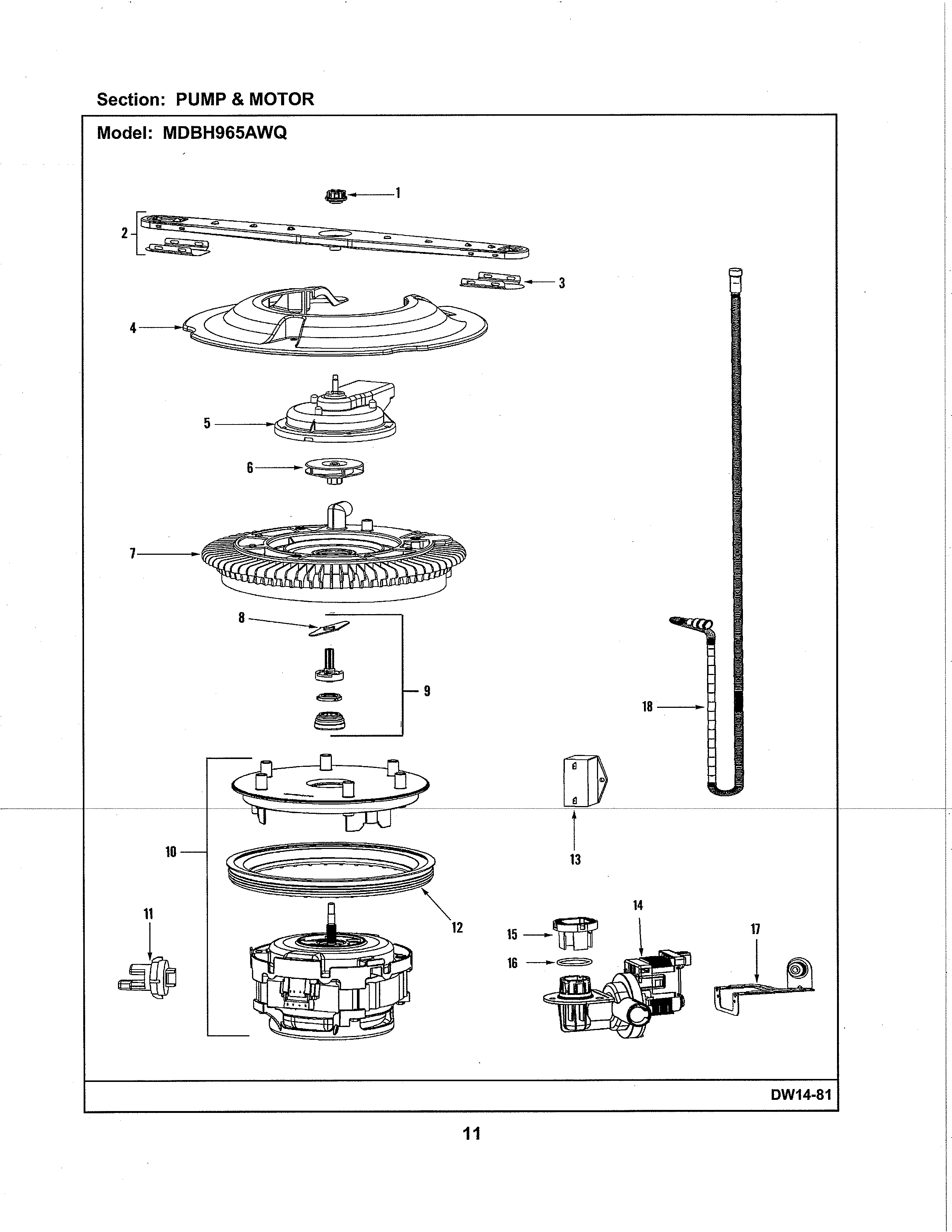 Pump & motor