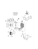 Cylinder head/camshaft