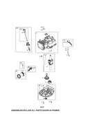 Cylinder/crankshaft/crankcase
