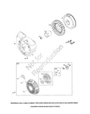 Starter-rewind/flywheel