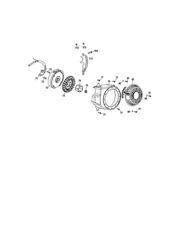 Flywheel/fan