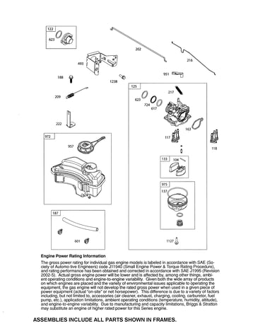 Carburetor/fuel tank