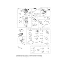 Briggs & Stratton 110P05-0002-F1 carburetor/fuel tank/gasket set diagram