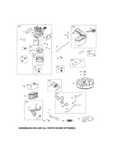 Carburetor/fuel tank/flywheel