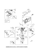 Fuel tank/carburetor