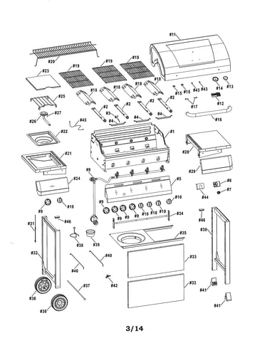 Gas grill