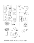 Carburetor/motor-starter