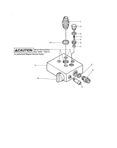 Paint pump