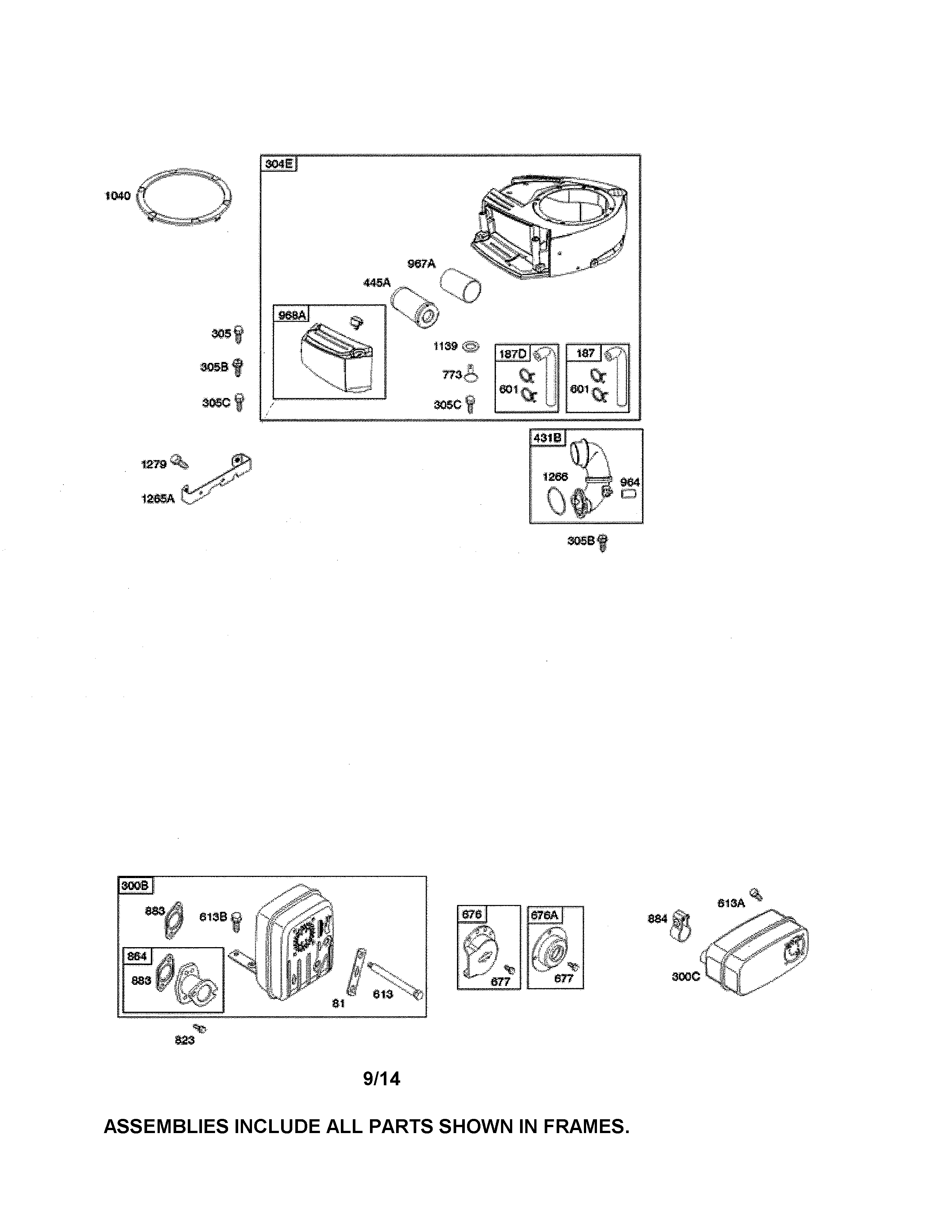 Air cleaner/blower housing