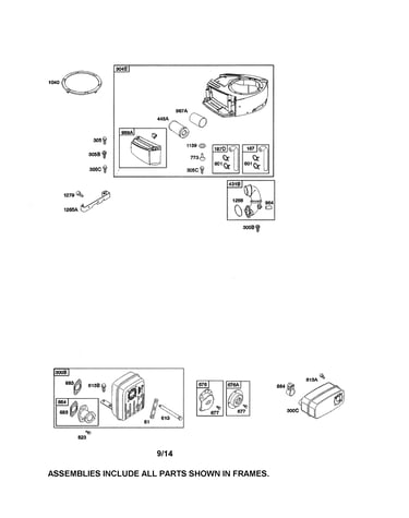 Air cleaner/blower housing