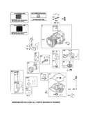 Cylinder/crankshaft/camshaft