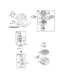 Rewind starter/motor starter