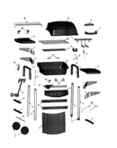 Gas grill