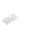 Auger
