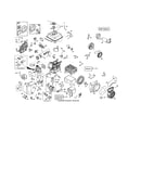 Complete engine - 580426005