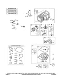 Cylinder/sump/crankshaft