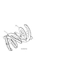 Auger