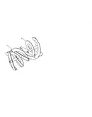Auger
