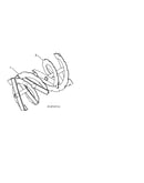 Auger
