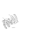 Auger
