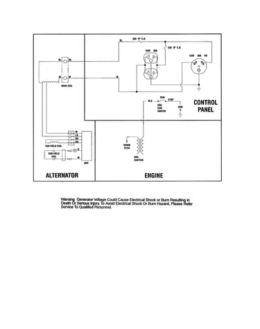 Wiring schematic (317751ws)