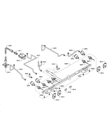 Manifold/regulator