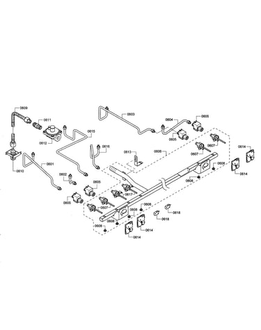 Manifold/regulator