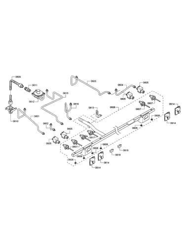Manifold