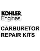 Carburetor repair kits