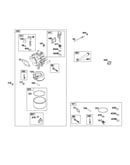 Carburetor & fuel supply